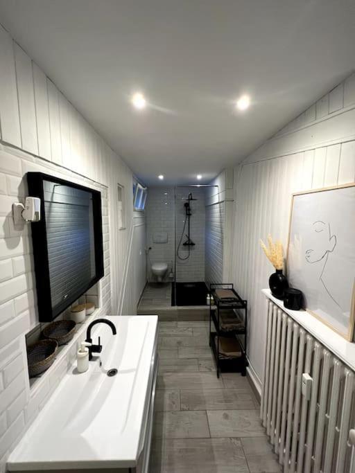 Superbe Duplex En Hyper Centre Daire Saint-Etienne  Dış mekan fotoğraf